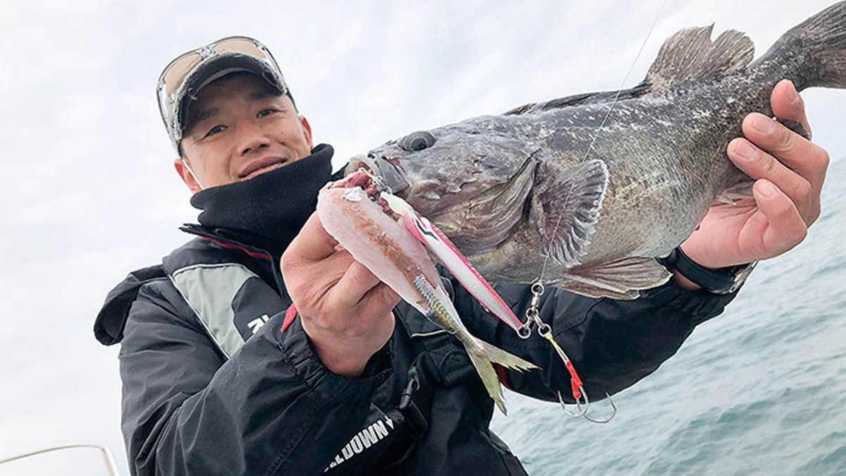 新潟県／柏崎沖のクロソイを釣って食べる！釣る編 | つり人オンライン